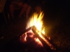 S7001196.JPG