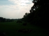 P7270022.JPG