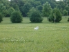 HPIM0658.JPG