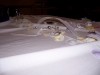 Dodd100_0347.jpg