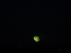 S7002263.JPG