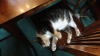 DSC00046.JPG