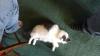 DSC00050.JPG