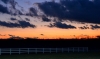 DSC00281.jpg