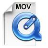 100_0390.MOV